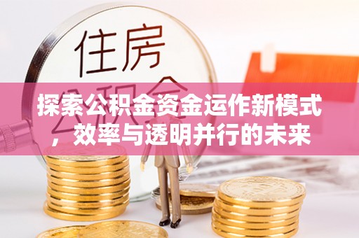 江川探索公积金资金运作新模式，效率与透明并行的未来