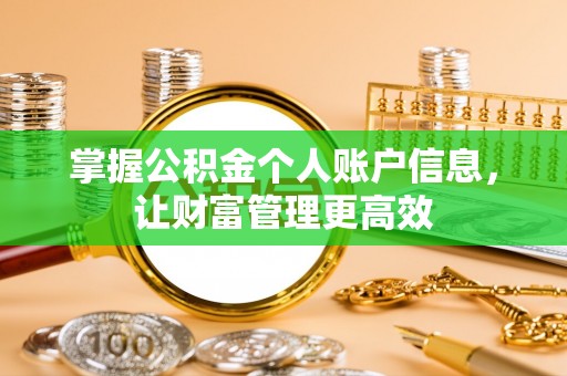 江川掌握公积金个人账户信息，让财富管理更高效