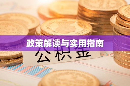 江川政策解读与实用指南
