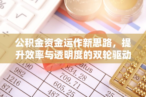 江川公积金资金运作新思路，提升效率与透明度的双轮驱动