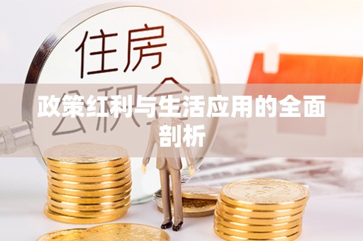 江川政策红利与生活应用的全面剖析
